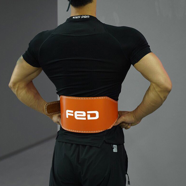 Đai lưng tập Gym FED YD-01