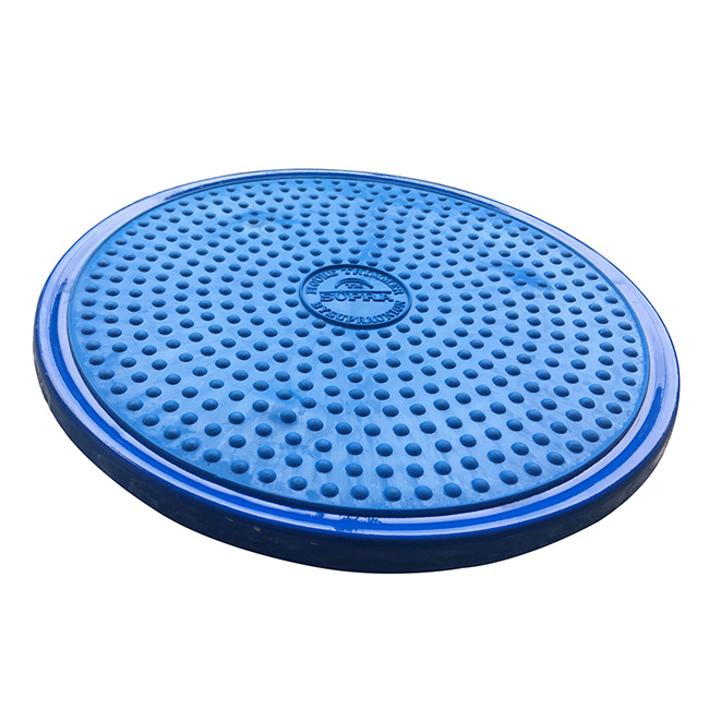 Đĩa xoay eo sắt Thanh Xuân