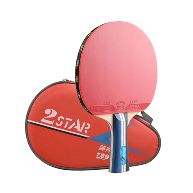 Vợt bóng bàn 729 2Star