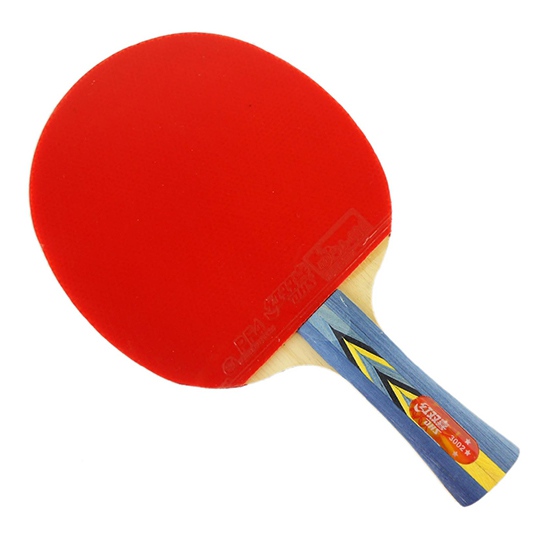 Vợt bóng bàn DHS 3002