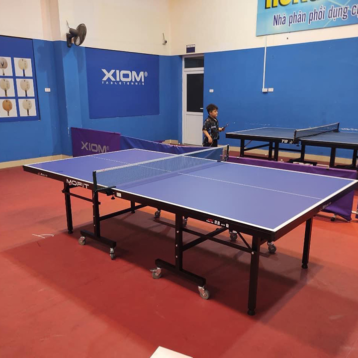 Thiết kế của bàn bóng bàn Double Fish DF 201C