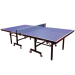 Bàn bóng bàn Double Fish DF 201C