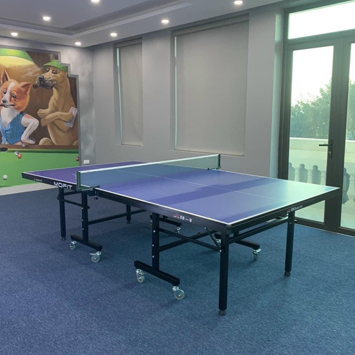 Ưu điểm của bàn bóng bàn Double Fish DF 201C