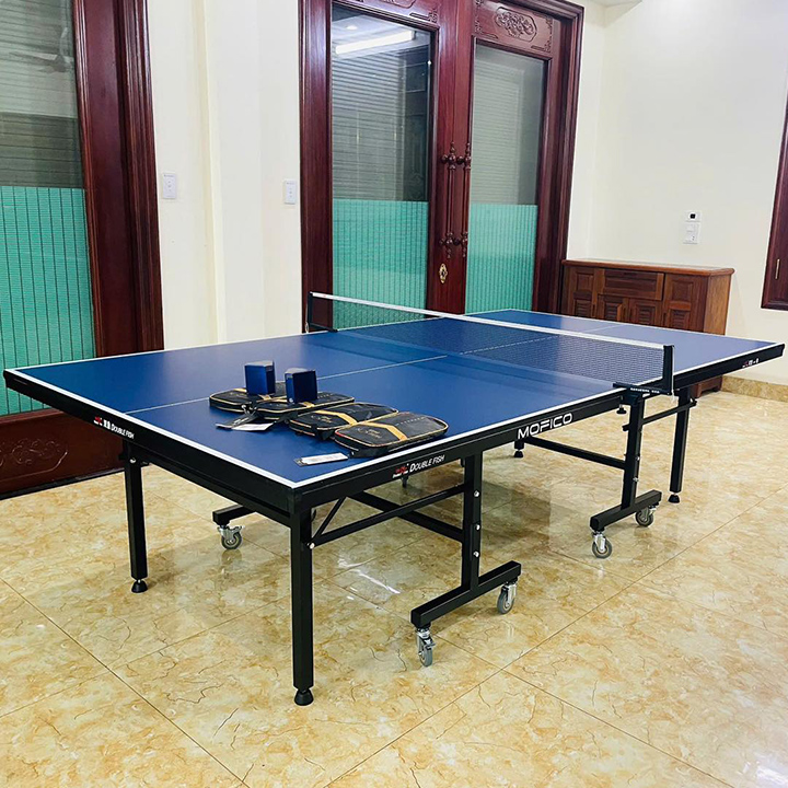 Ảnh bàn bóng bàn Double Fish DF 201C