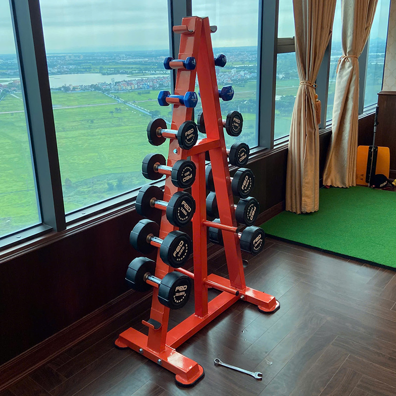 Thiết kế của giá để tạ