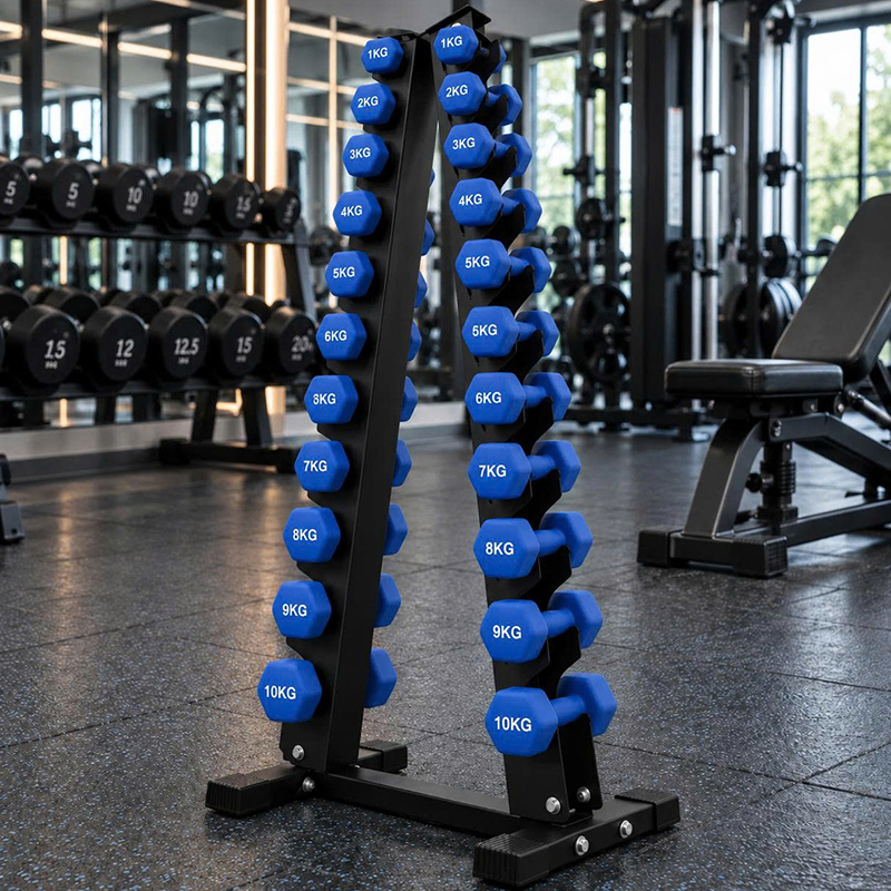 Ảnh giá để tạ chữ A 10 đôi